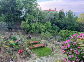 Studio Mojca - Image 5