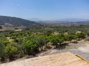 Finca Martina - Image 3
