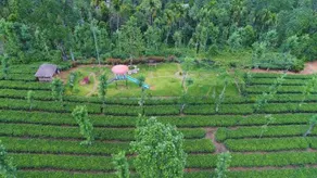Sierra Brook Resorts - Image 2