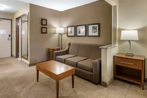 Comfort Inn Moline - Quad Cities - Image 2