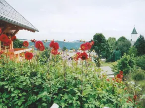 Comfortable Apartment With Large Roof Terrace in Dachsberg-urberg - Image 5
