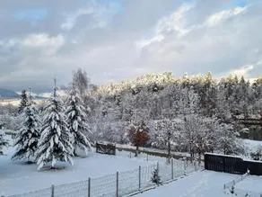 Vila Lac - Image 2