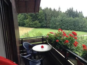 Pension Schonbrunn - Image 2
