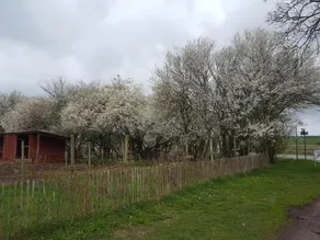 Sandaasen Ecological Farm - Image 4