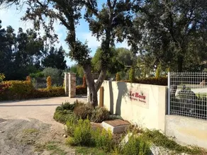 Le Bois De Caprascorsa - Image 4