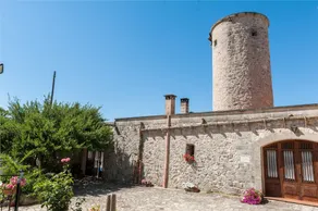 SON MOLL - Image 4