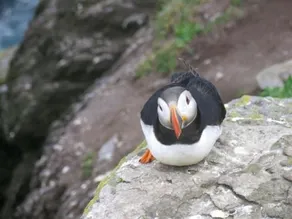 Skellig Lodge - Image 2