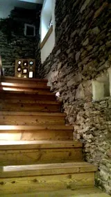 Stella Di Campo - Image 3