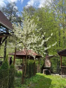 Casa Martha - Image 3