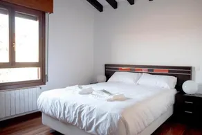 The Cantabrian Apartamentos - Image 2