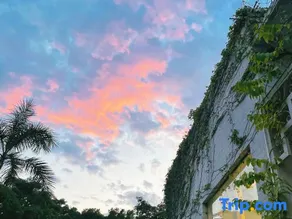 "The Land of the Forest" apartment hotel - Image 5