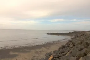 Willapa Bay Beach House - Image 4