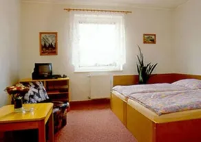 Pelikan - Image 4
