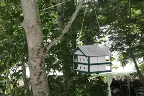 Cory Cottage At The Pansy Patch - Image 3