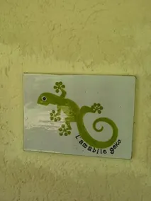 L' Amabile Geko - Image 3