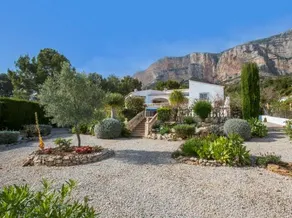 Amapola 8 - Image 3