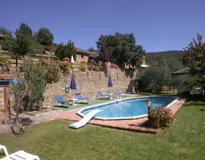 Ciliegio - Image 3