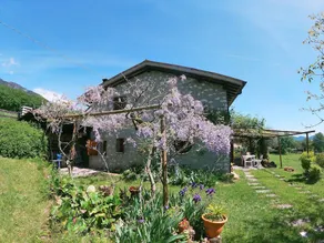 Cozy Detached House, Wide Garden, Wifi - Image 3