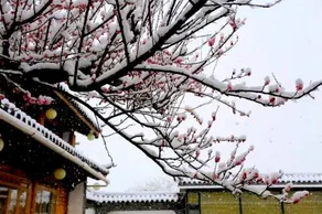 Huamei Club Lijiang - Image 2