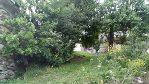 La Casita - Image 2