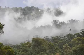 Nirvana at Montville - Image 3