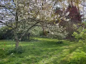 Robin Hill Cottage - Image 3