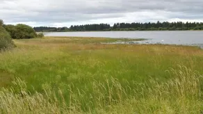 Stewarts Resort Lodge 21 - Image 3