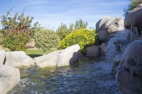 Villa La Selva - Image 5