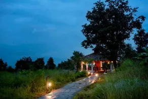 Serenity Jungle Retreat - Image 3