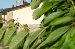 La Casina Rosa - Image 4