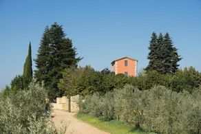 La Bastide de Fabregues - Image 2