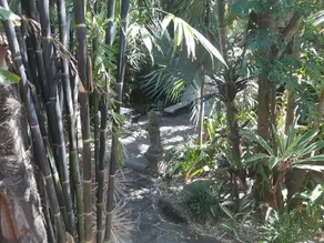 The Bamboo House Coolangatta - Image 4