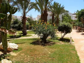 Apartamento Mimosas - Image 5