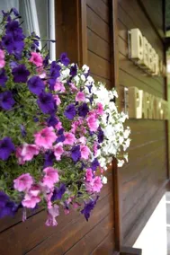 Park Hotel Debra - Image 3