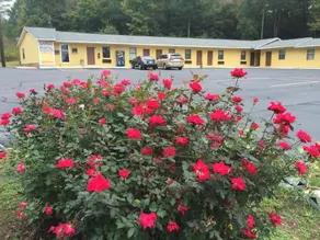 Sands Motel - Image 2