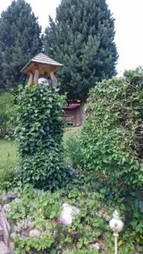 Haus Scherer - Image 3