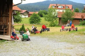 Paulas Bauernhof - Image 4