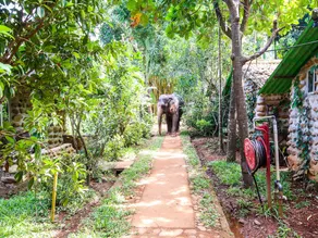 Oyo 25131 Jungle Book Resort - Image 2