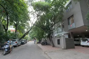 Bauhinia - Image 5