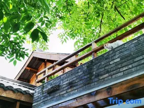 Yilu Homestay - Image 3