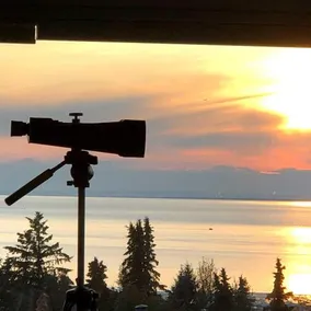 Susitna Place - Image 4