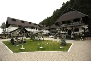Complex Lions Bucovina - Image 3