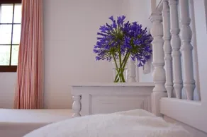 Casa Jazmin - Image 2