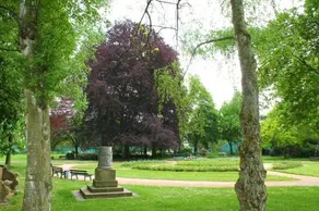 Eden - Image 3