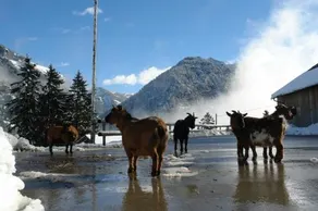 Berggasthaus Sücka - Image 3