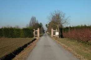 Agriturismo l'Angelina - Image 3