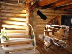 Cabana Vultur - Image 3