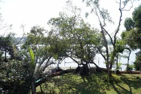 Lavan Bolgoda - Image 4