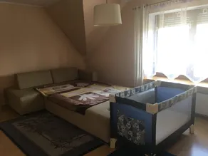 Lovely Holiday Home in Dobczyce Lesser Poland With Terrace - Image 4