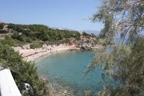 Pelagia - Image 4